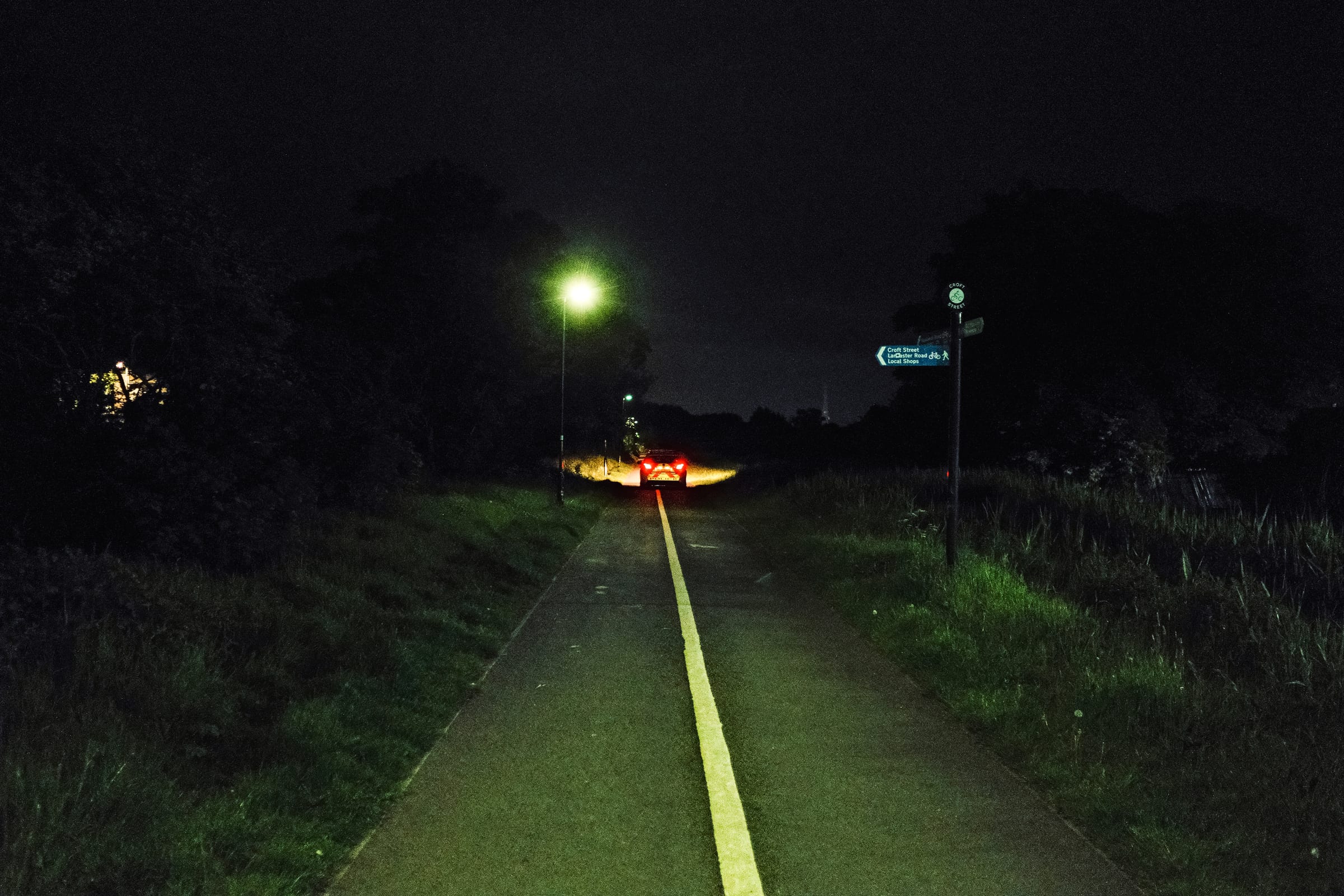 Pigs on the cycle track, Morecambe